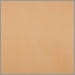 L119- Neutral Tan Leather