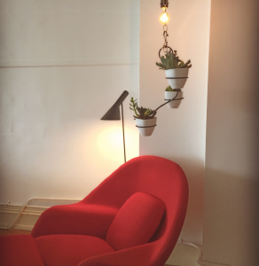 Indoor Plants Above Our Womb Chair Replica in Cayenne Red