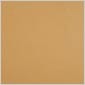 L419- Camel Tan